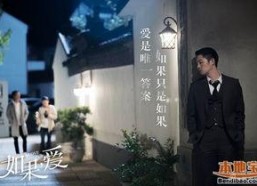 电视剧如果爱全集播放,情感纠葛与命运抉择的浪漫史诗